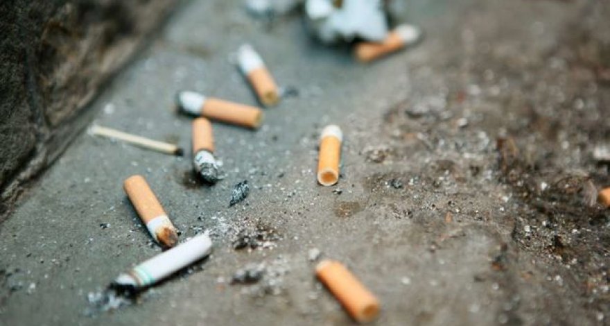 В Испании за уборку окурков будут платить табачные компании 