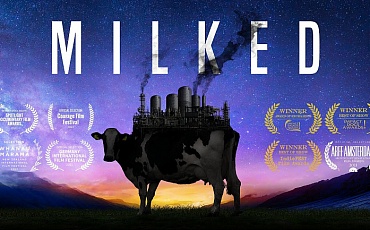 MILKED стал лучшим документальным фильмом