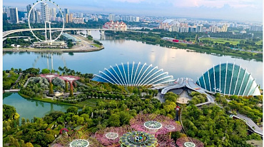 В Сингапуре назначили главного специалиста по устойчивому развитию