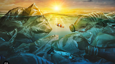 Ученые выяснили, куда пропадает пластик из океана
