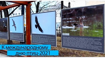 Открытие выставки "Краснокнижные птицы Арктики"