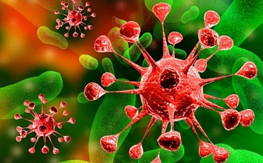 Кишечные вирусы выживают в воде из-за микропластика