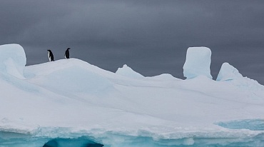 Повышение температуры в Арктике наносит вред Канаде и США