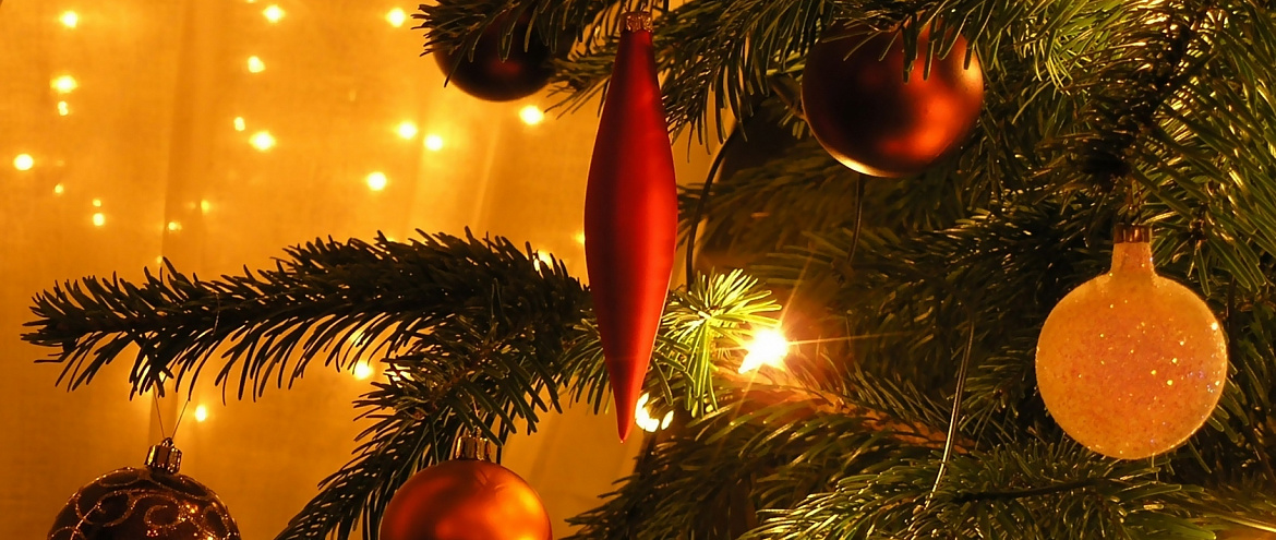 В России планируют создать пункты по приему новогодних елок