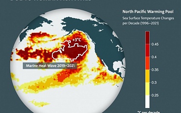 В Тихом океане появилась аномально теплая зона