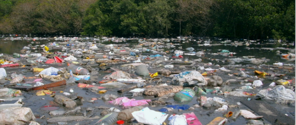 Как пластиковые отходы загрязняют реки 