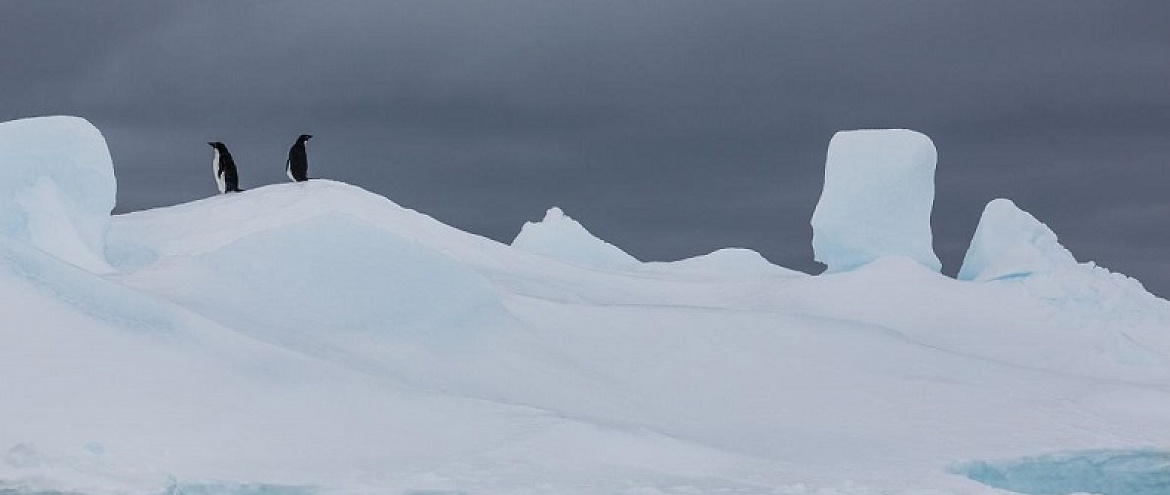 Повышение температуры в Арктике наносит вред Канаде и США