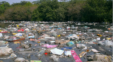 Как пластиковые отходы загрязняют реки 