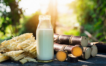 Ученые разработали растительное молоко из сахарного тростника