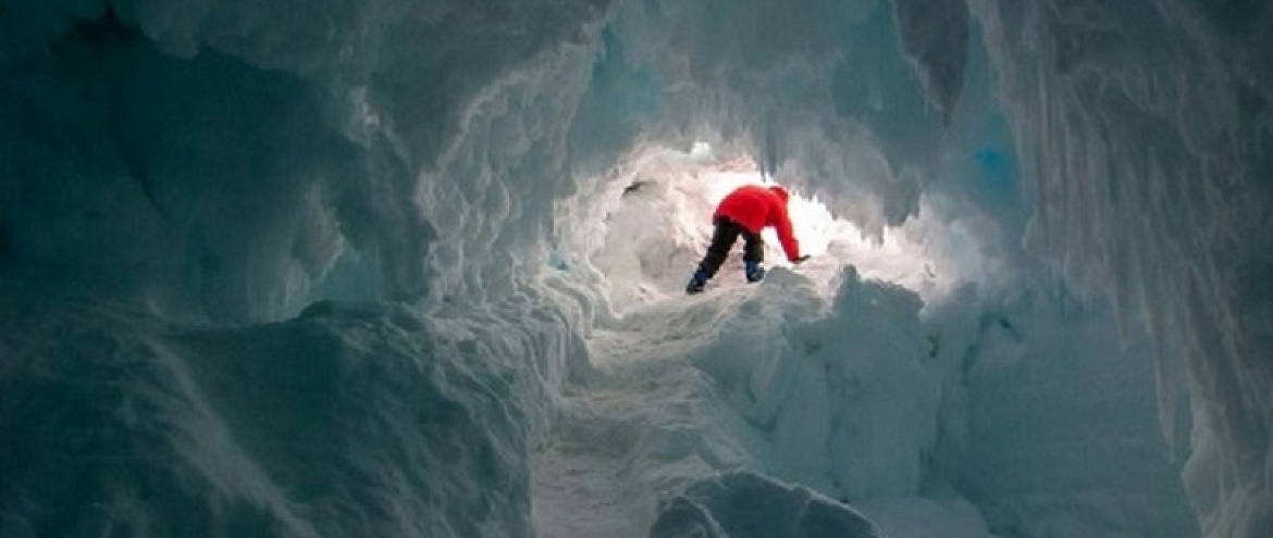 Теплые антарктические пещеры скрывают тайную жизнь