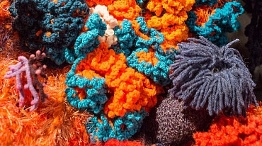 Коралловые рифы на выставке сделаны из отходов