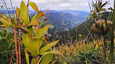 Каньон в Швейцарии открывает природную красоту